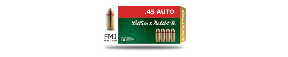 .45 AUTO / .45 ACP